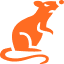 rat